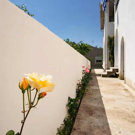 Апартаменты Vasilis South Corfu *